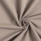 Leichter French Terry Uni – taupe,  thumbnail number 1