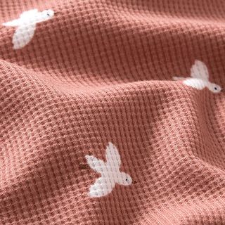 Waffeljersey Vögel – altrosa, 