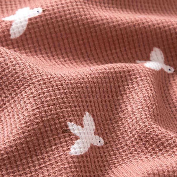 Waffeljersey Vögel – altrosa | Reststück 100cm
