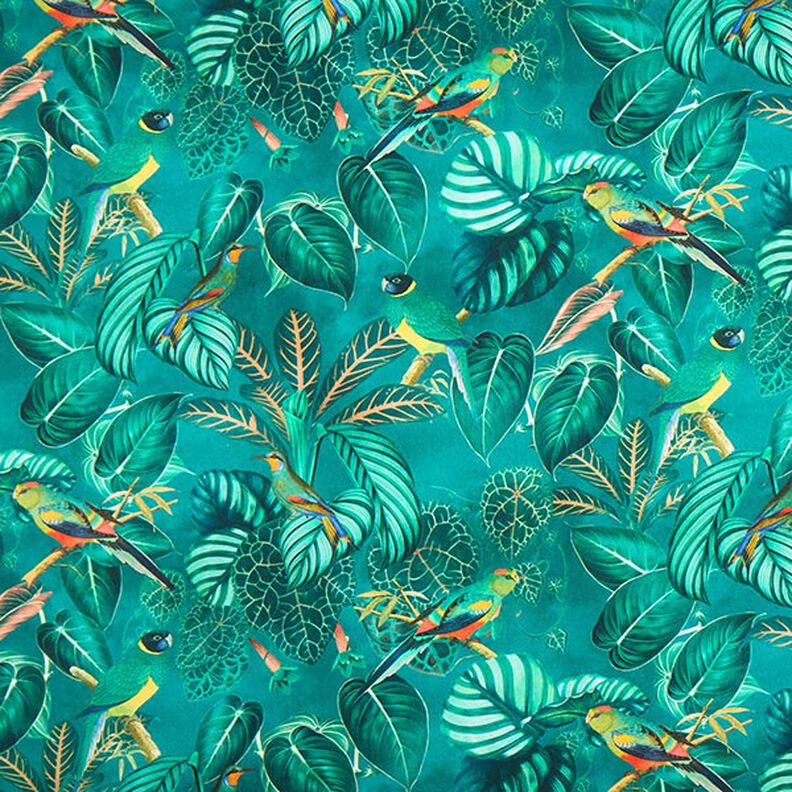 Dekostoff Canvas Paradiesvögel – dunkelgrün,  image number 1