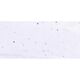 Seidenpapier Glitter Set [ 3 Stück] – weiss,  thumbnail number 3