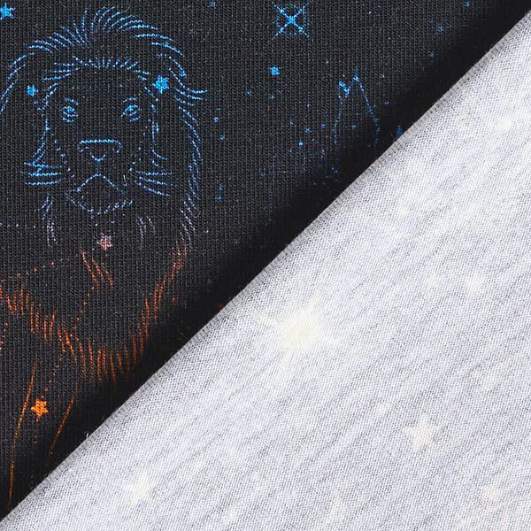 Baumwolljersey Lizenzstoff Wappentiere Sternbilder Harry Potter  | Warner Bros. – schwarz,  image number 4