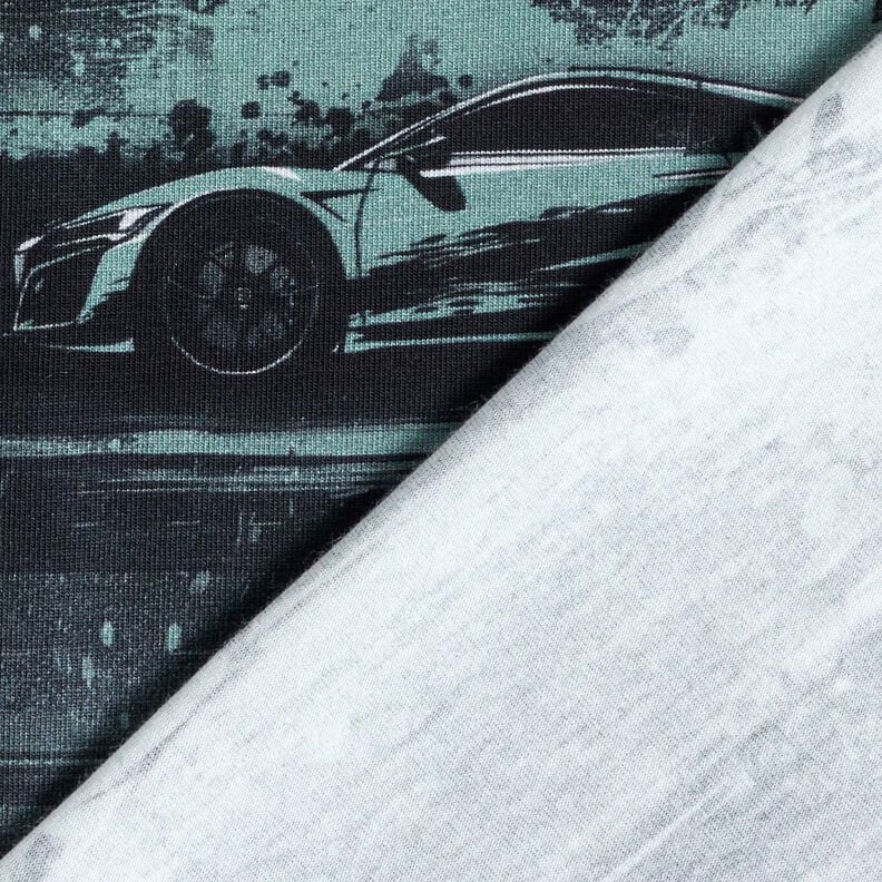 Baumwolljersey Rennauto Digitaldruck – schwarz/perlgrau,  image number 4