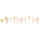 Washi Sticker Transformation Trockenblumen [ 200 Stück ] | Rico Design,  thumbnail number 1