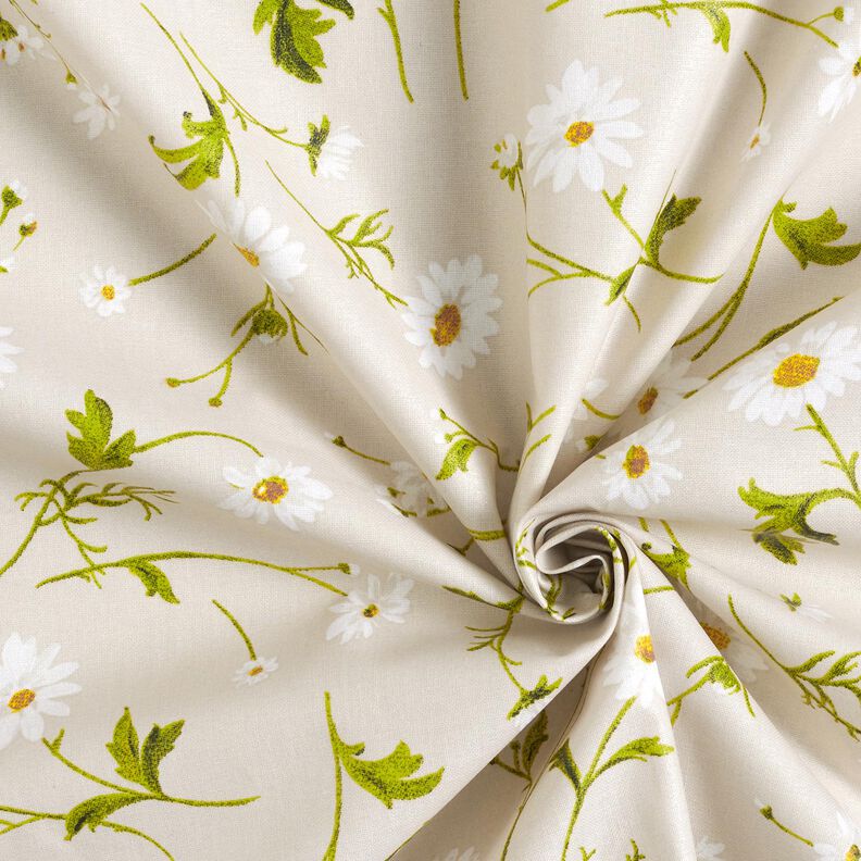 Beschichtete Baumwolle Gänseblümchen – natur/weiss,  image number 4