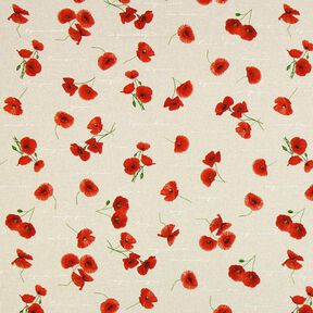 Halbpanama Mohnblume – natur, 