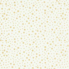 Baumwollstoff Cretonne weihnachtlicher Sternenhimmel klein – weiss, 