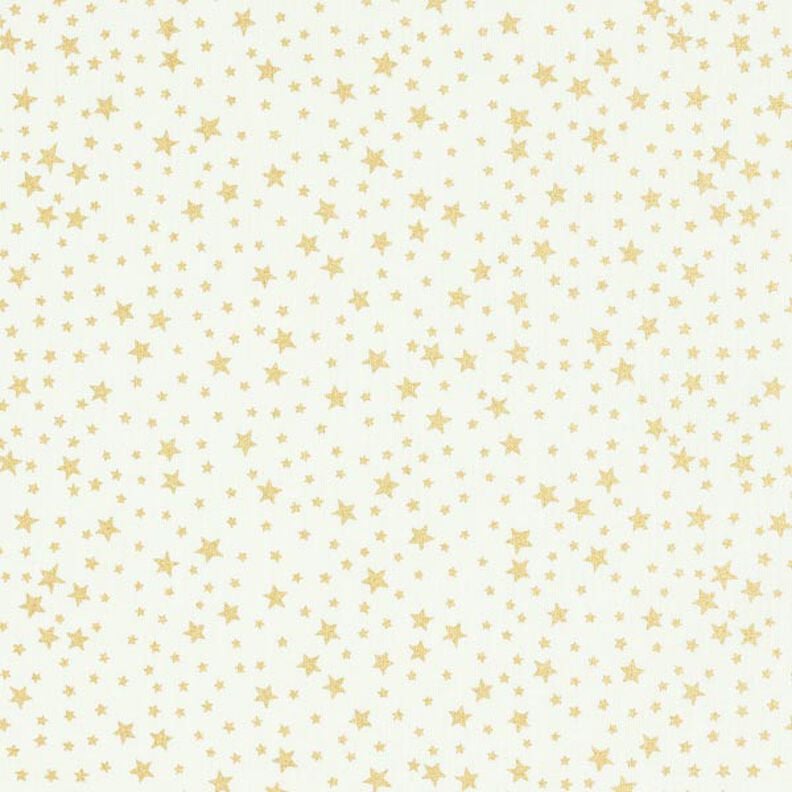 Baumwollstoff Cretonne weihnachtlicher Sternenhimmel klein – weiss, image number 1
