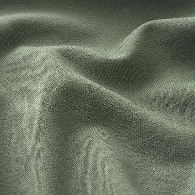Leichter Baumwollsweat Uni – pinie, image number 4