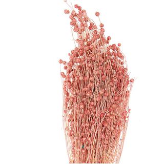 Getrockneter Flachs [ 100 g ] | Rico Design – pink, 