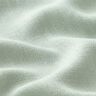 Viskose-Leinen Soft – pastellgrün,  thumbnail number 3