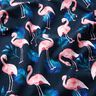 Baumwolljersey Flamingo | Glitzerpüppi – nachtblau/hellrosa,  thumbnail number 2