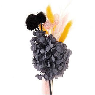 Trockenblumen Set [ 30 cm ] | Rico Design – schwarz, 