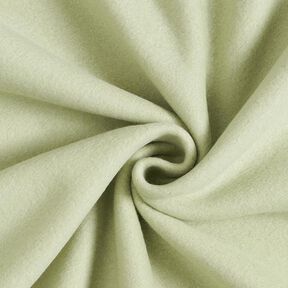 Baumwollfleece Uni – schilf, 
