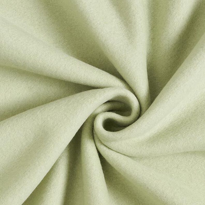 Baumwollfleece Uni – schilf,  image number 1