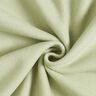 Baumwollfleece Uni – schilf,  thumbnail number 1