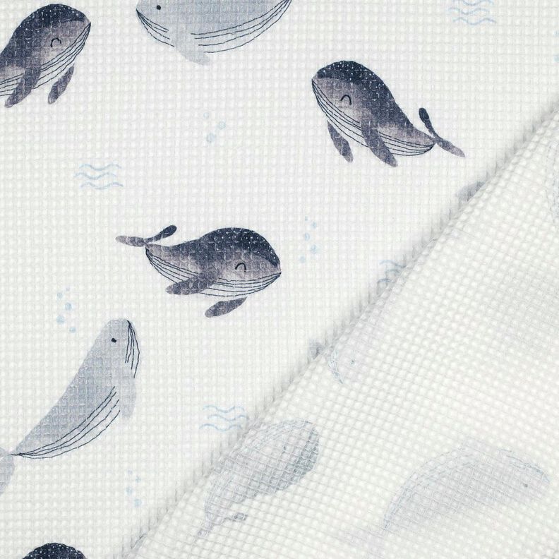 Waffelpiqué Wale Digitaldruck | Poppy Fabrics – elfenbein/blaugrau, image number 4