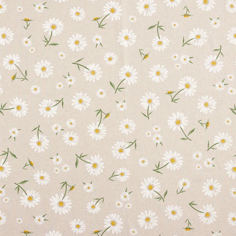 Dekostoff Halbpanama verstreute Gänseblümchen – natur/weiss,  image number 1