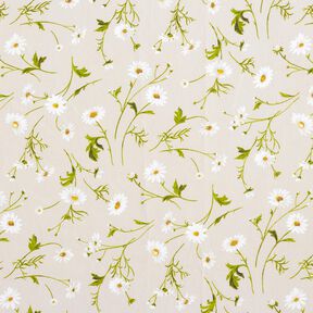 Beschichtete Baumwolle Gänseblümchen – natur/weiss, 