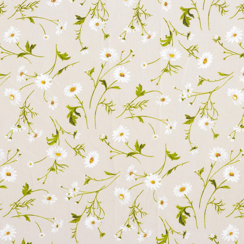 Beschichtete Baumwolle Gänseblümchen – natur/weiss,  image number 1