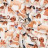 Baumwollpopeline Hunde Digitaldruck | Poppy Fabrics – wollweiss,  thumbnail number 4