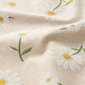 Dekostoff Halbpanama verstreute Gänseblümchen – natur/weiss, 