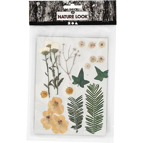 Gepresste Blüten&Blätter [19-teilig] – creme/ grün,  image number 2