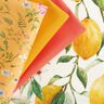 Outdoorstoff Canvas Zitronen – elfenbein/zitronengelb,  thumbnail number 6