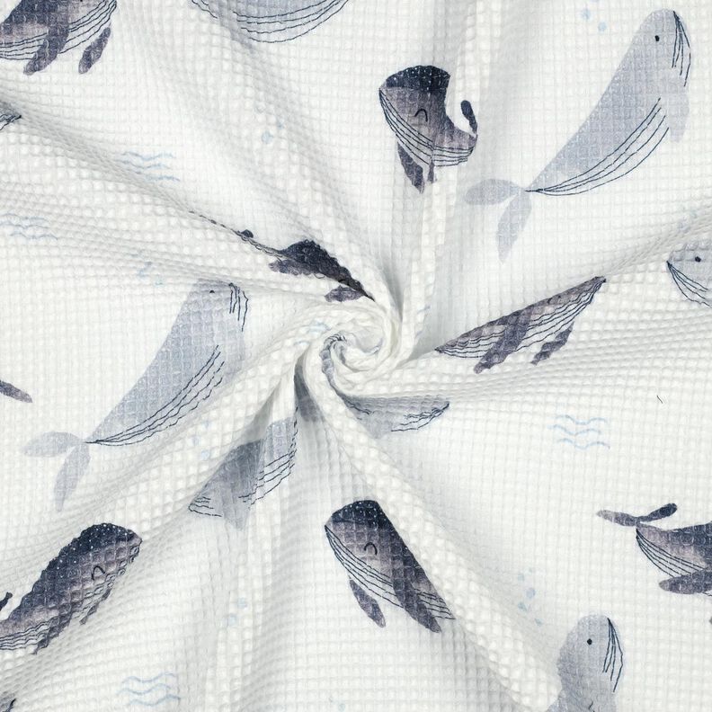 Waffelpiqué Wale Digitaldruck | Poppy Fabrics – elfenbein/blaugrau, image number 3
