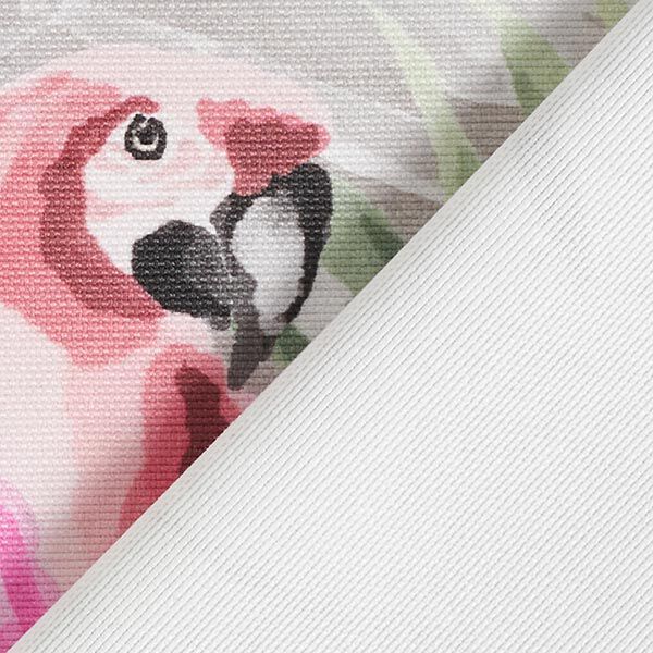 Outdoorstoff Canvas Tropen Vögel – hellgrau/schilf, image number 4