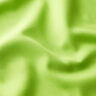 Dekostoff Canvas – apfelgrün,  thumbnail number 2