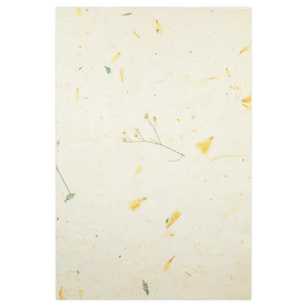 Naturpapier-Set "Paper Nature Daisy", image number 4