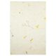 Naturpapier-Set  "Paper Nature Daisy",  thumbnail number 4