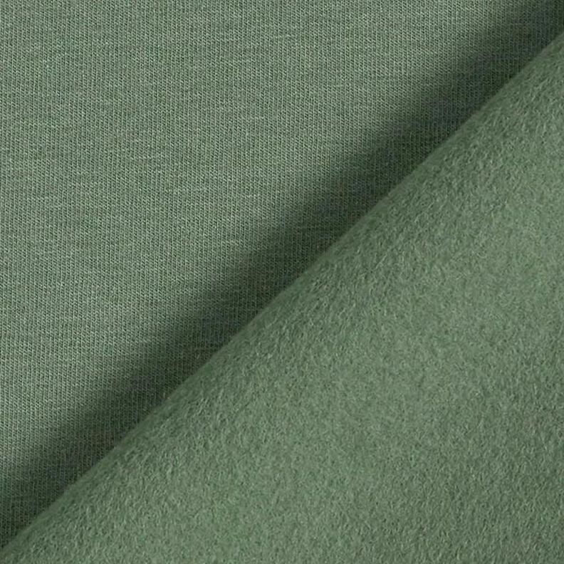 Leichter Baumwollsweat Uni – pinie, image number 5