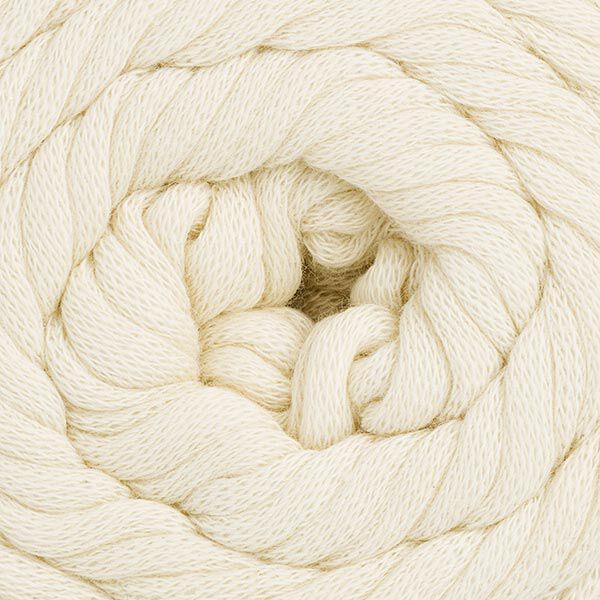 Cotton Jersey, 100 g | Schachenmayr (00002), image number 2
