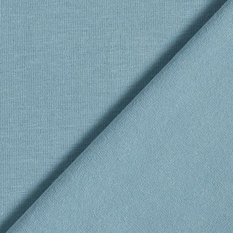 GOTS Baumwolljersey | Tula – taubenblau,  image number 3