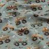 Baumwolljersey Tiere in Monstertrucks Digitaldruck – elefantengrau,  thumbnail number 2