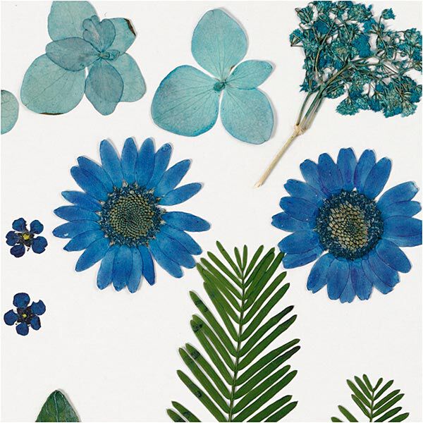 Gepresste Blüten&Blätter [19-teilig] – blau/grün,  image number 3