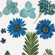 Gepresste Blüten&Blätter [19-teilig] – blau/grün,  thumbnail number 3