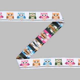 Webband Owl 1, 