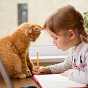 Schulstart - Tierische Ideen